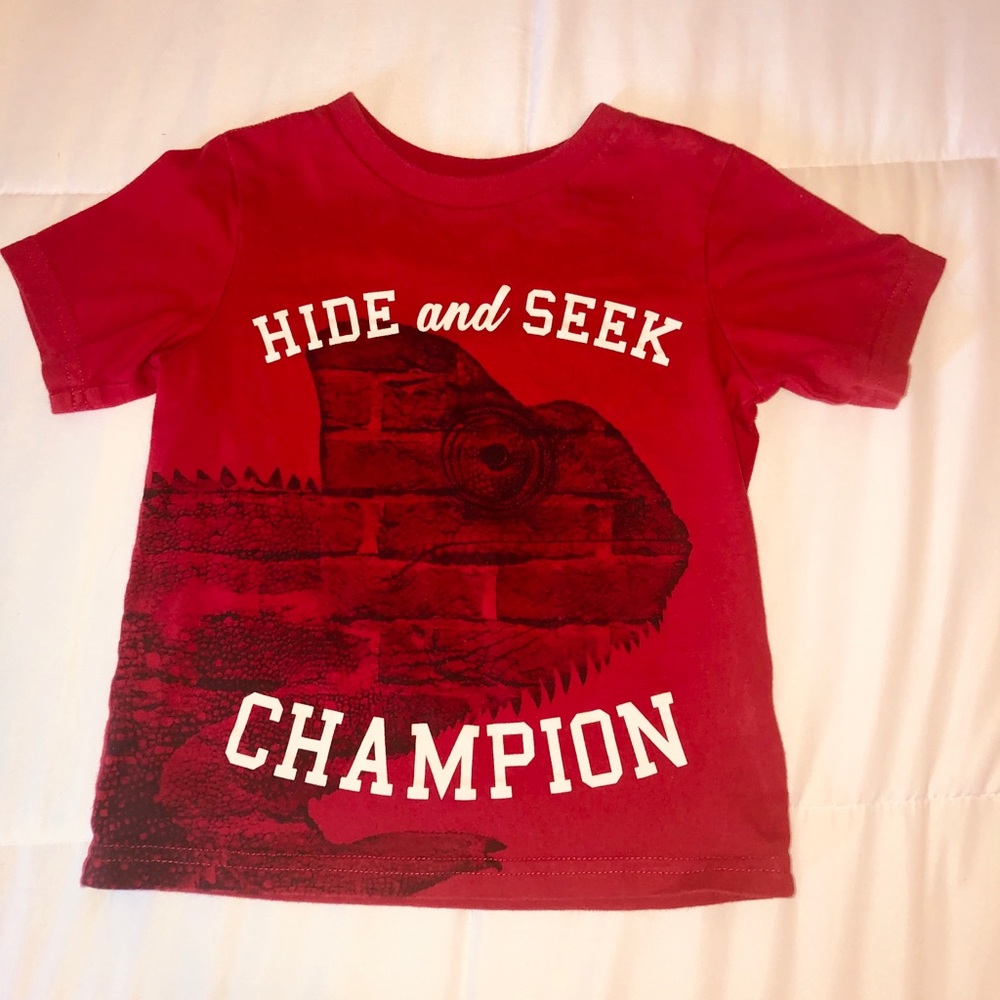 Chameleon T-shirt. Boys size 3T